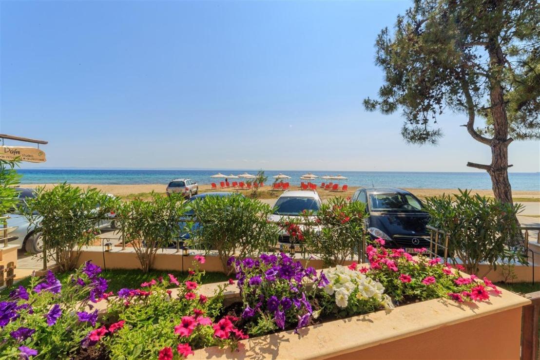 Studio Nikiti Beach Esterno foto