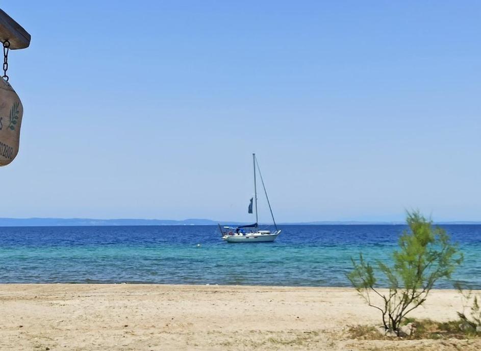 Studio Nikiti Beach Esterno foto
